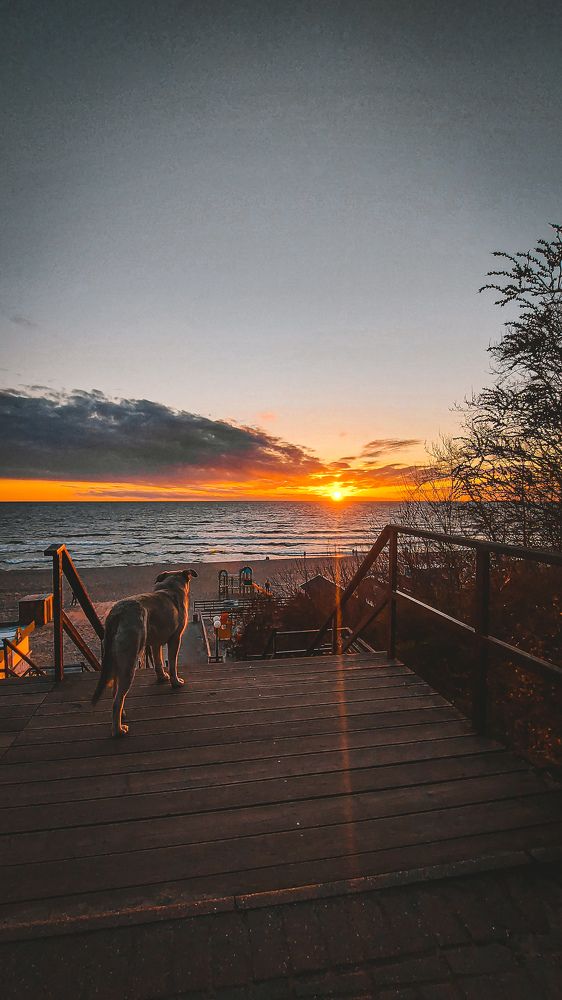 Photograph by Сергей Кутинский