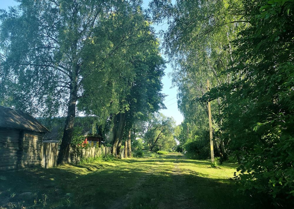 Photograph by Екатерина Кузьмина