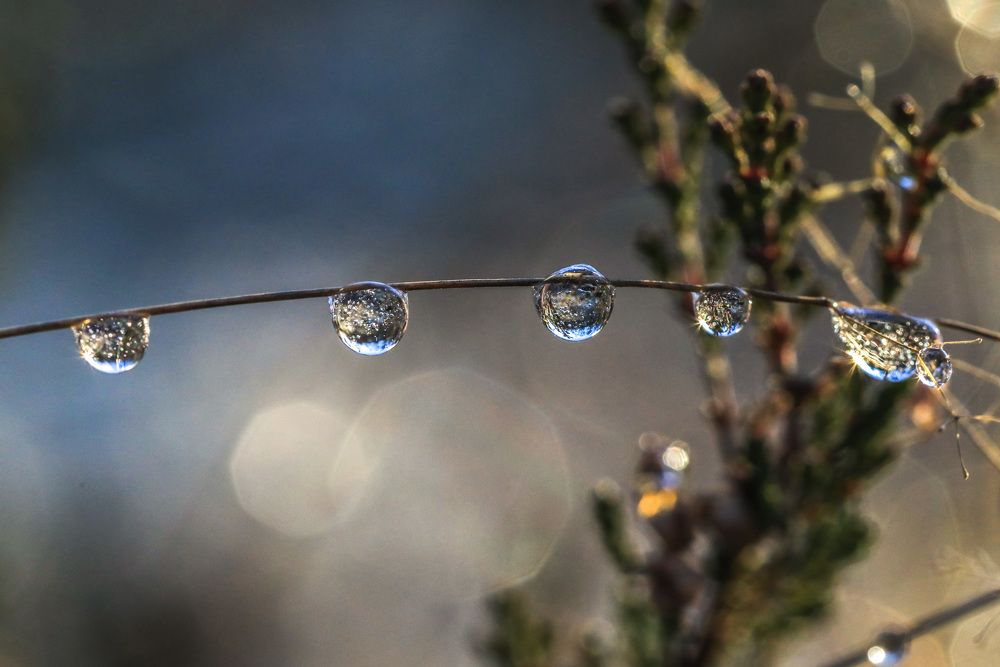 Photograph by Сергей Корнильев