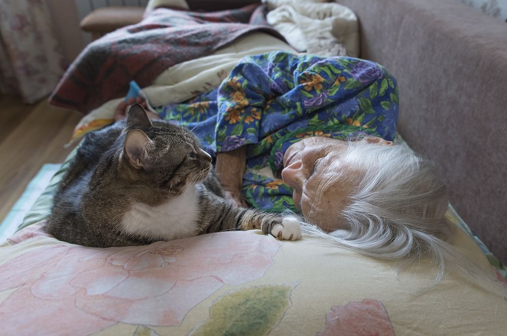 Мама и Малыш