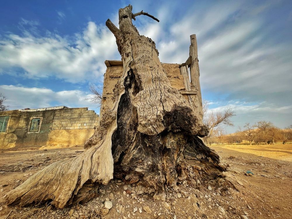 Photograph by Babak Moghaddam