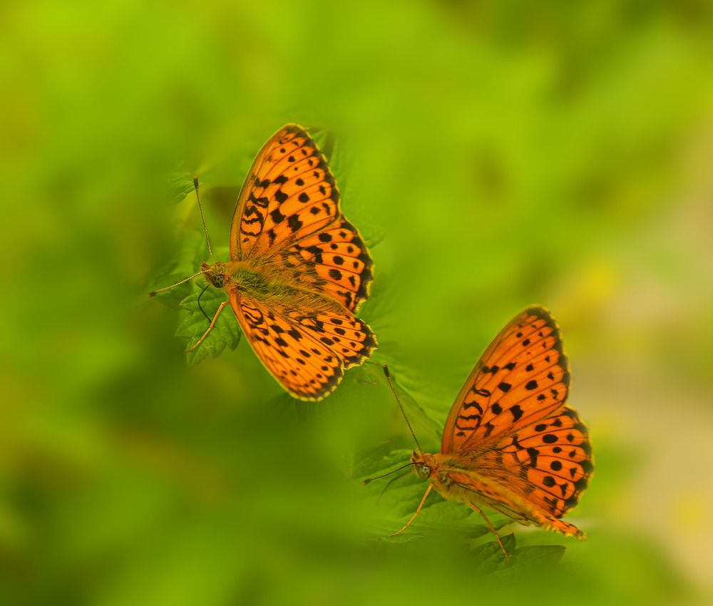 Photograph by Ольга Блохина