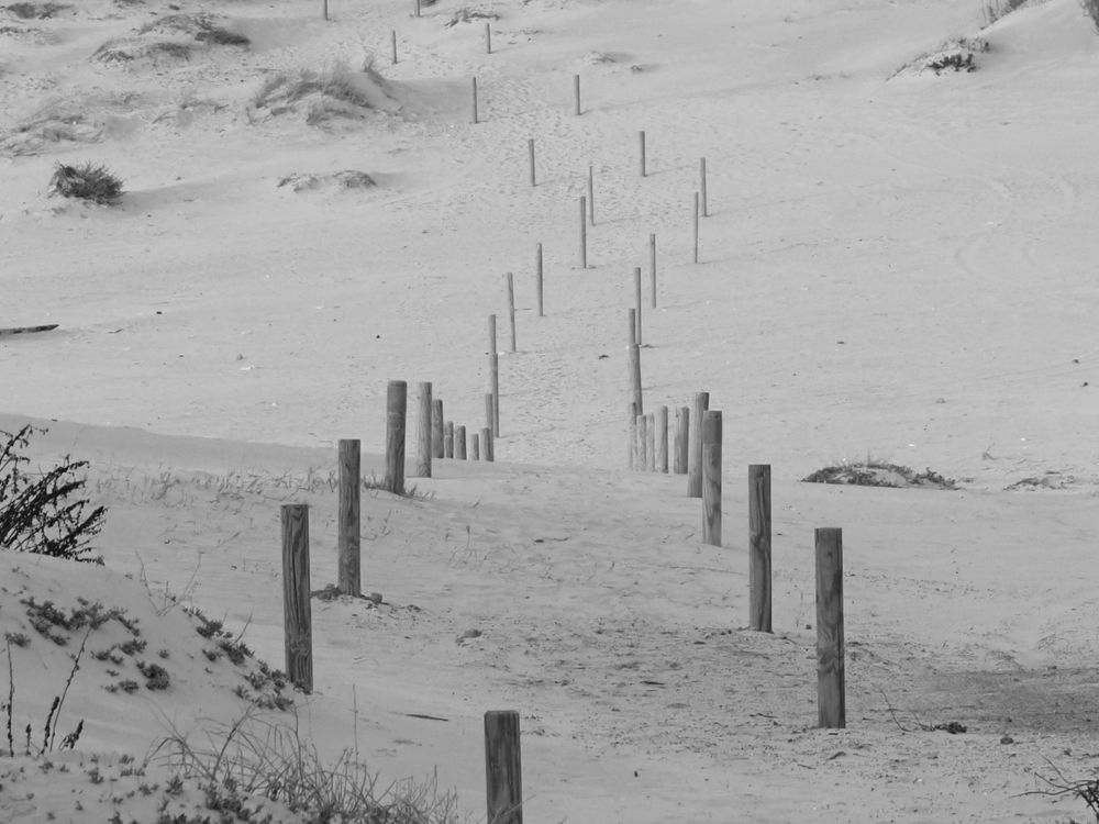 Photograph by Gotcha Biniashvili