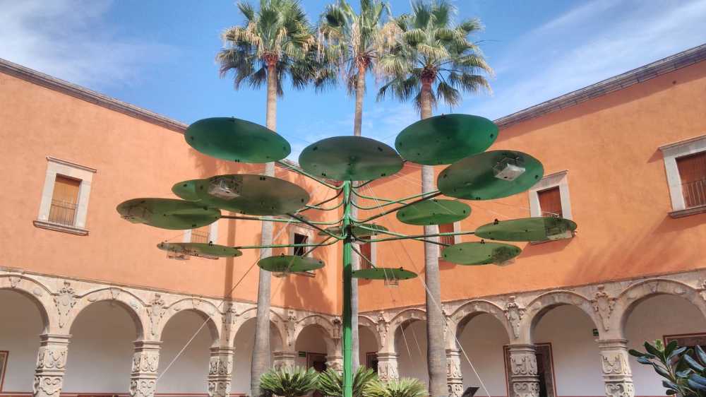 Photograph by Alejandro Pecina