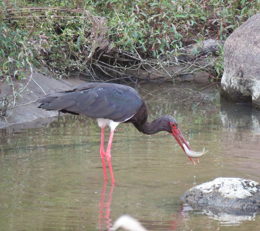 Photograph by ANISH BISWAS