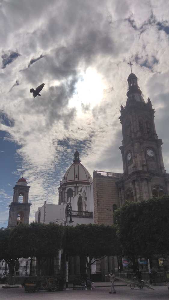 Photograph by Alejandro Pecina