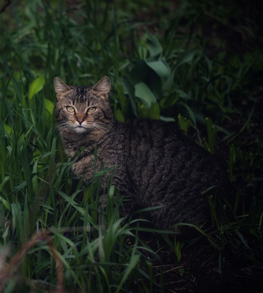 Photograph by Татьяна