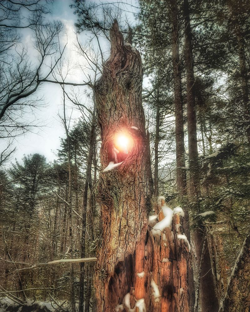 Photograph by Mobigraf