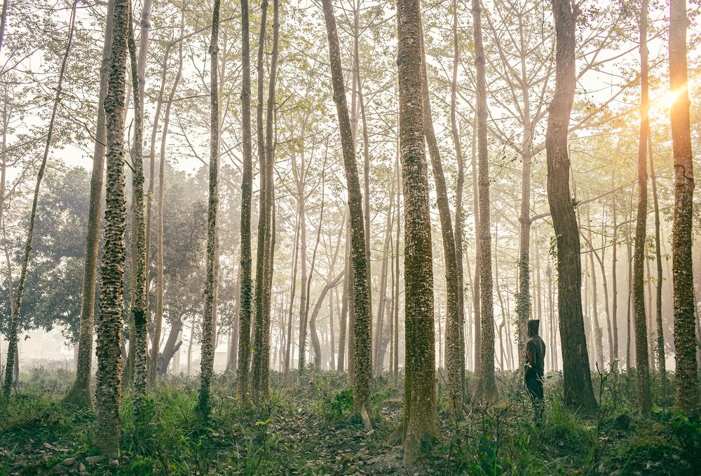 Photograph by Nishant Raj