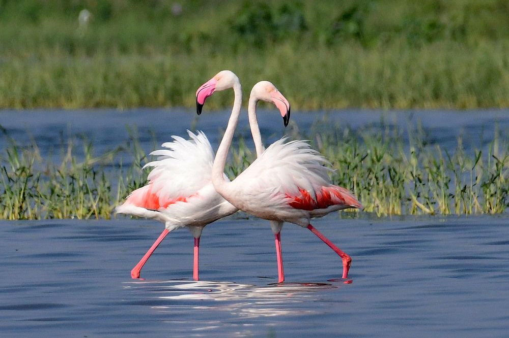 Photograph by SACHIN MATKAR