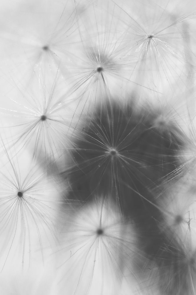 Photograph by Алексей Турсунов