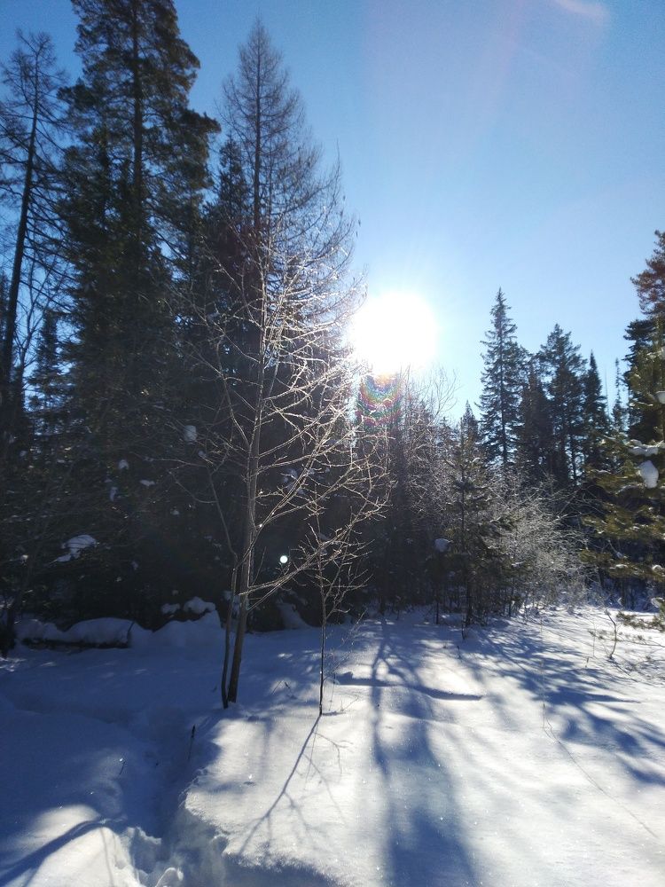 Photograph by Наталья Шулятина