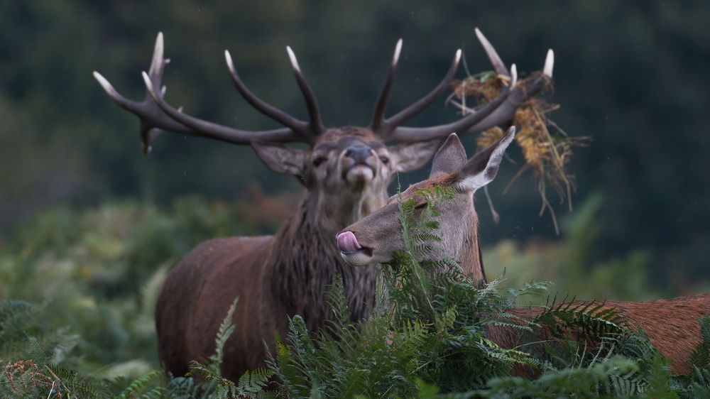 Фотография автора Kowalski Jaroslaw