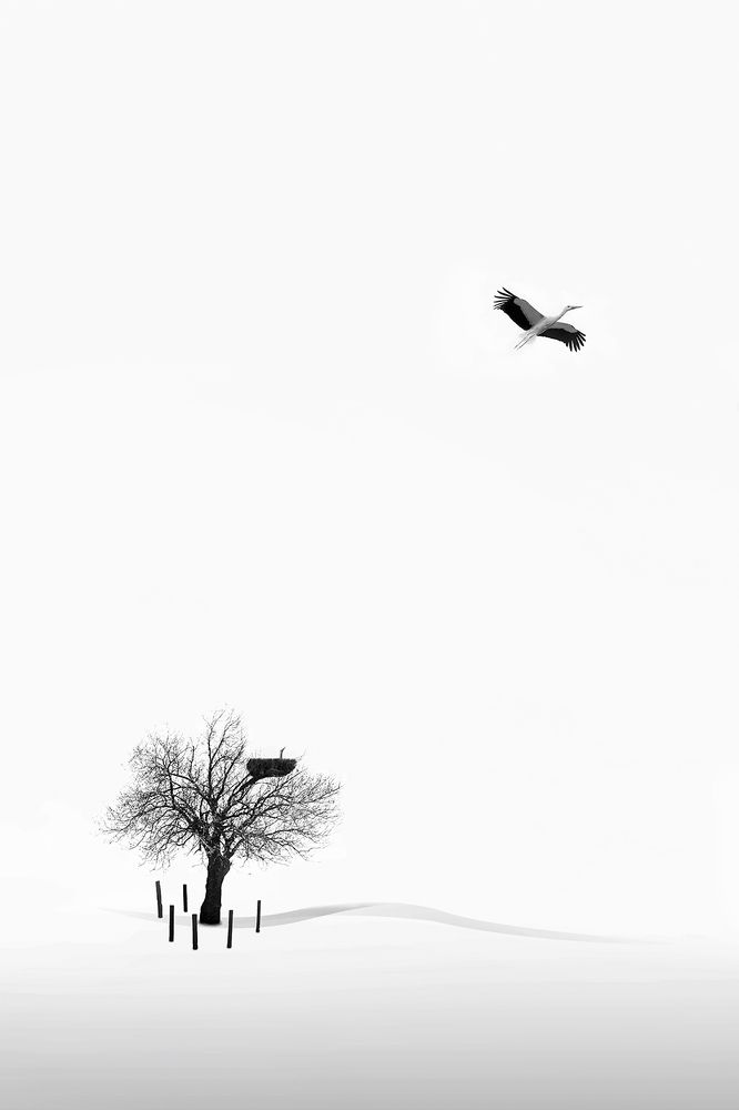 Photograph by amir badrazimi