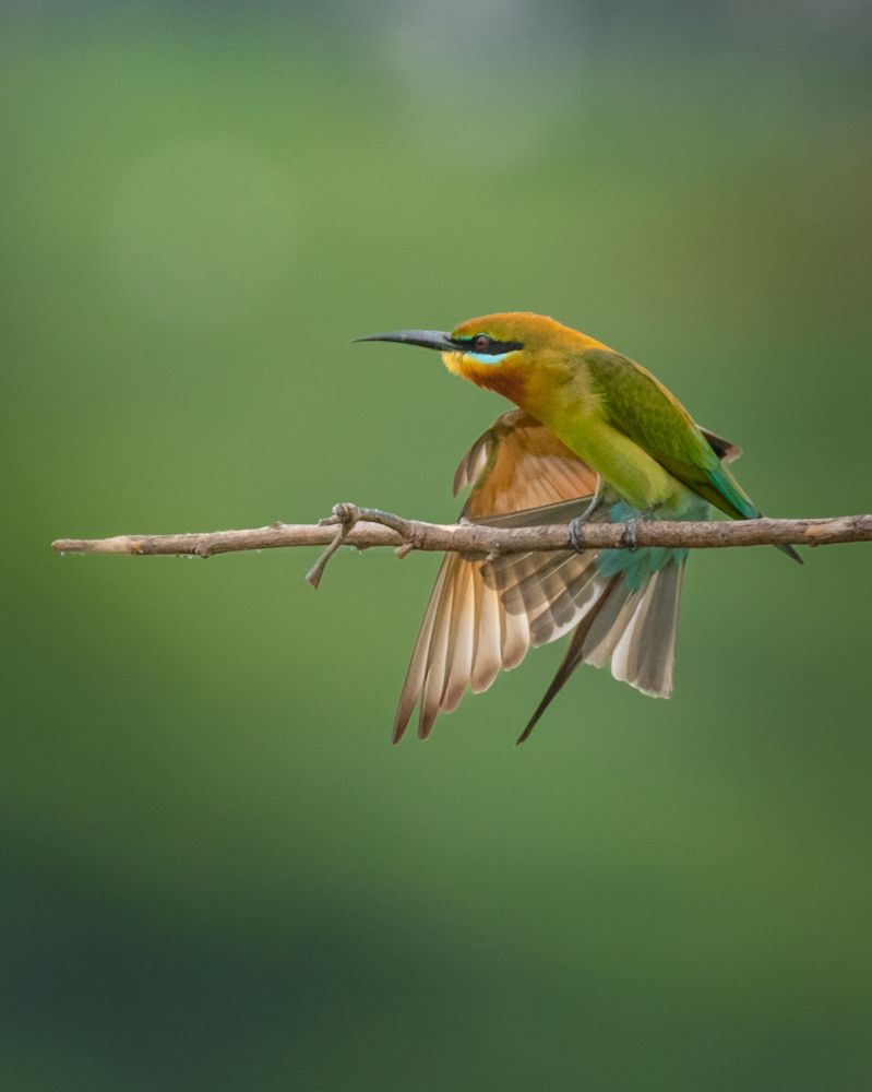 Photograph by Visveswar VK