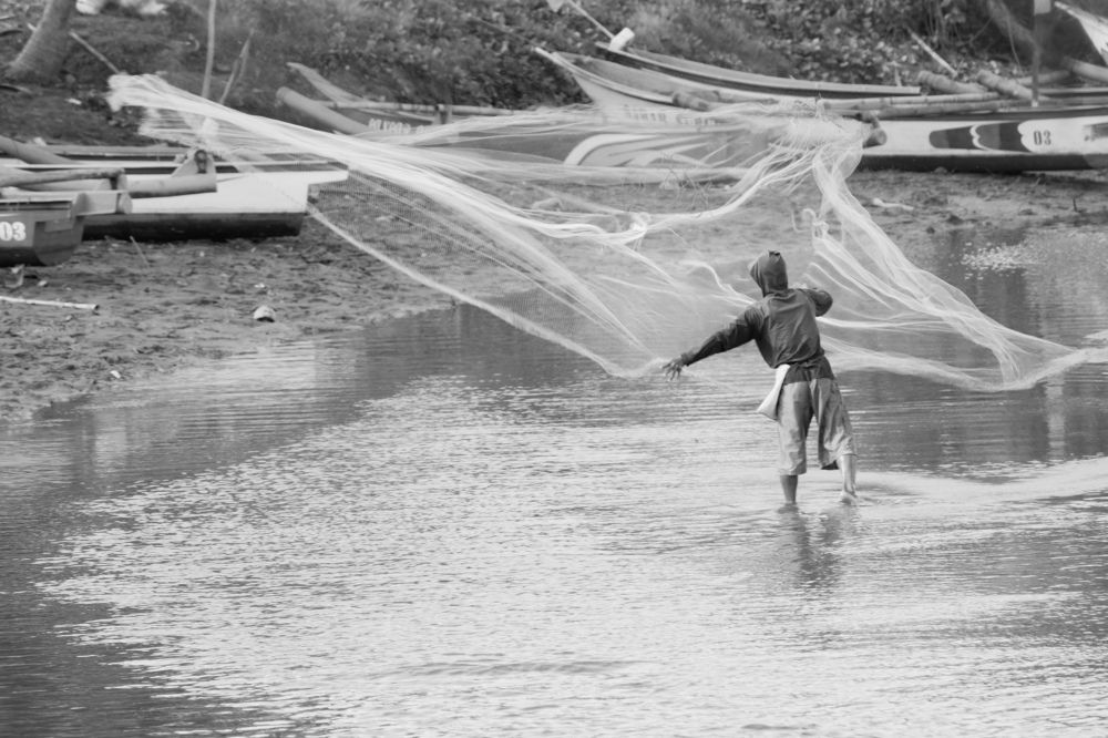 Photograph by nur wahid