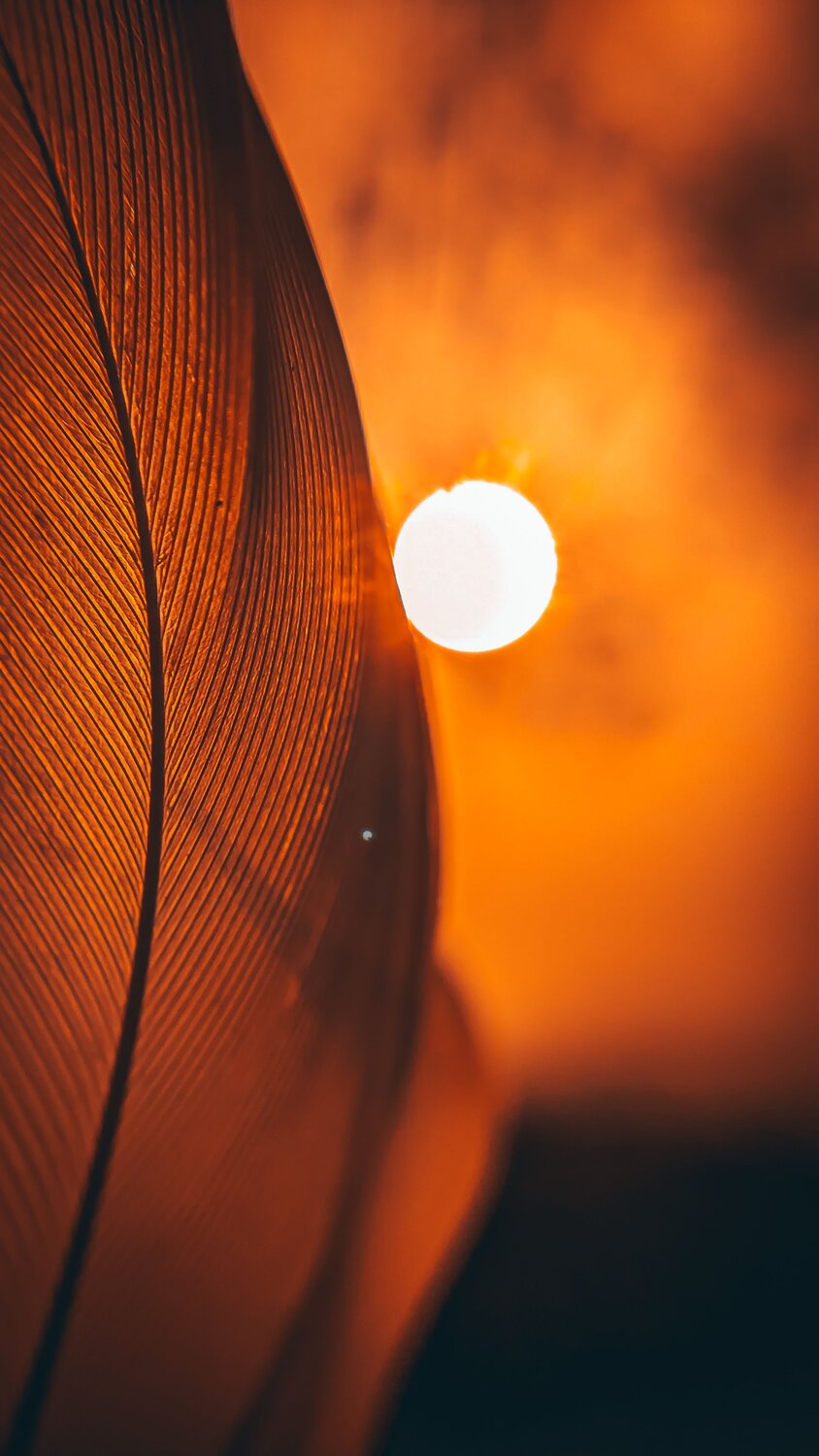 Photo #7340218