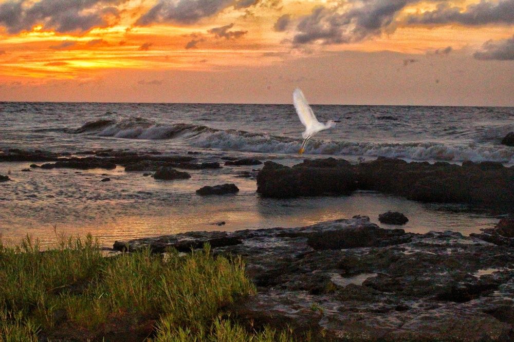 Photograph by Fabrício Gomes