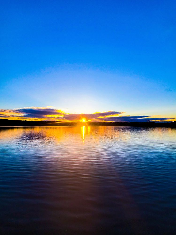 Photograph by Brian Scowcroft