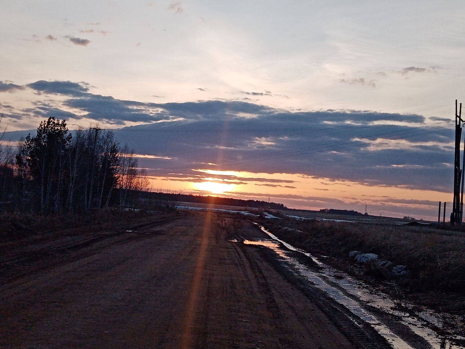 Photo #7340307