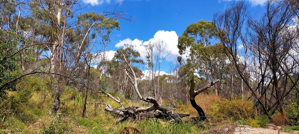 Photograph by Kirsteen Isles