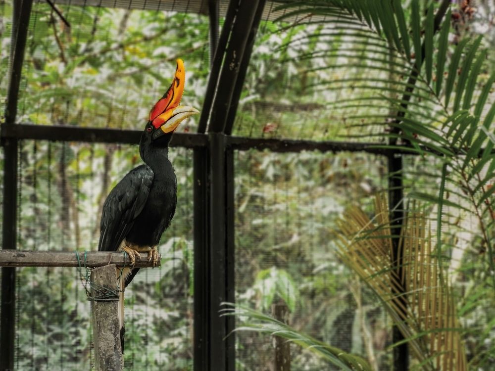 Photograph by Adryne Adenan