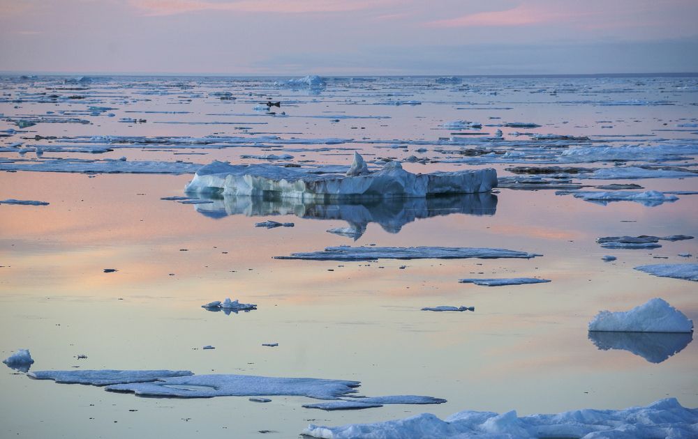 Краски Севера