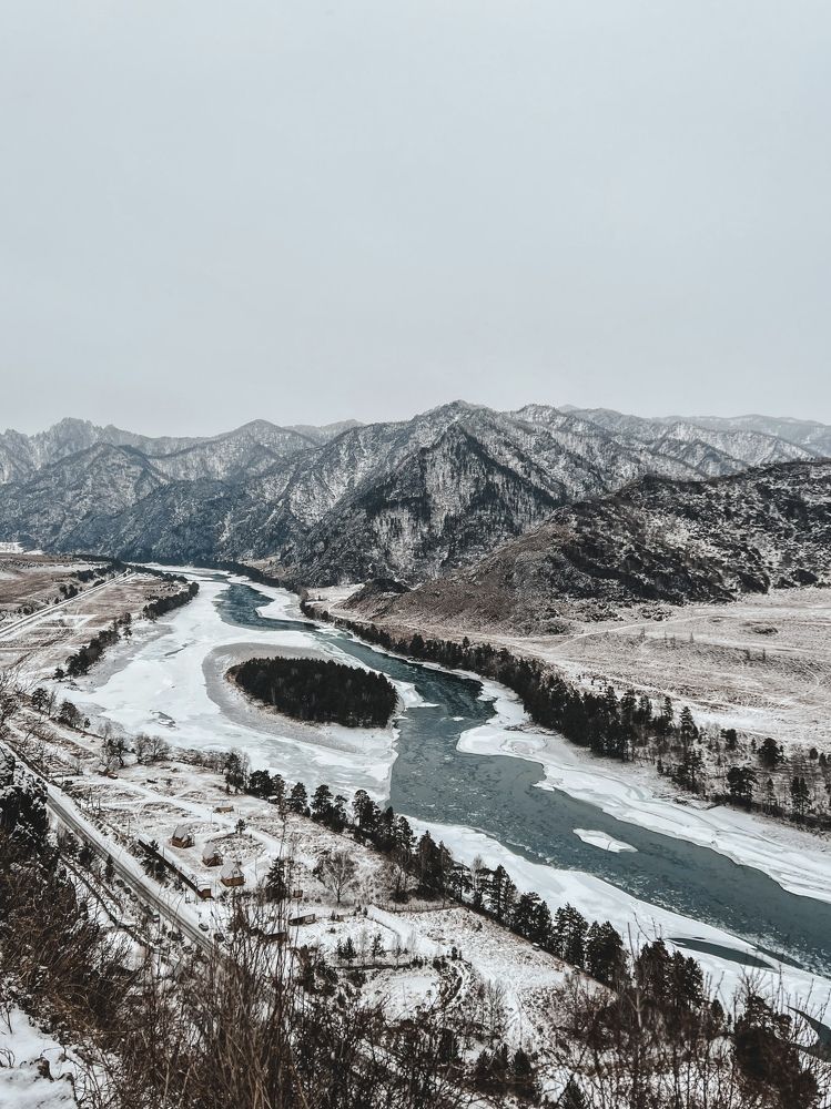 Фотография автора Светлана Ляпина