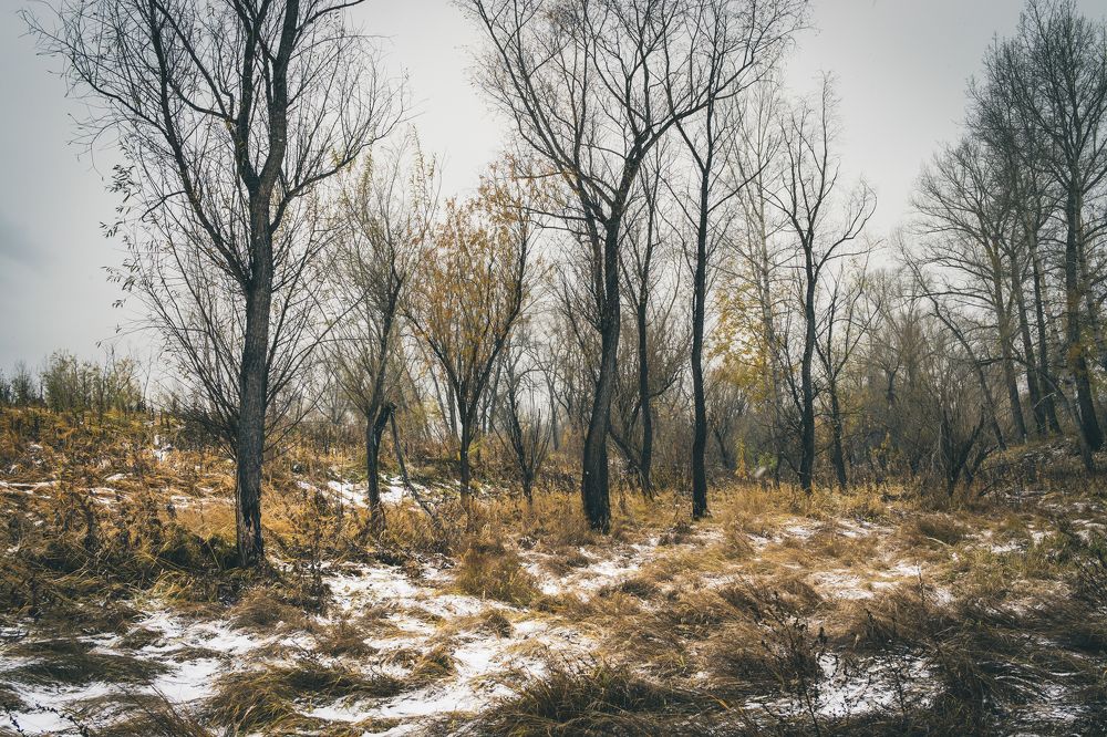 Photograph by Юрий