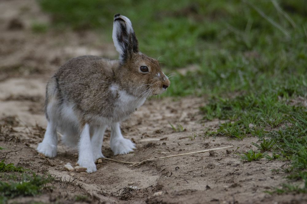 Photograph by Алексей Логинов