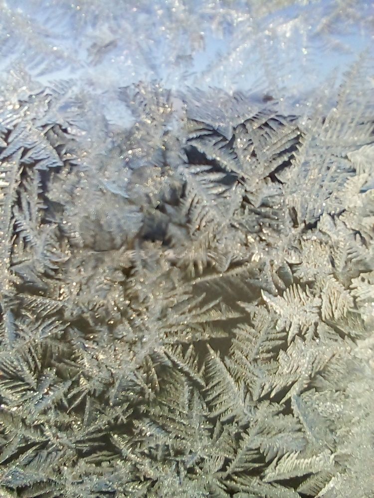 Photograph by Татьяна Собенникова