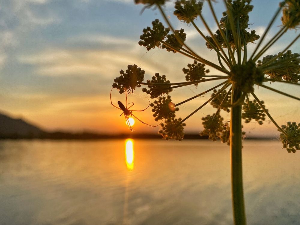 Photograph by Тыченок