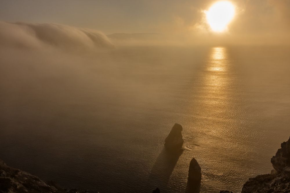 Photograph by Сергей Стратов