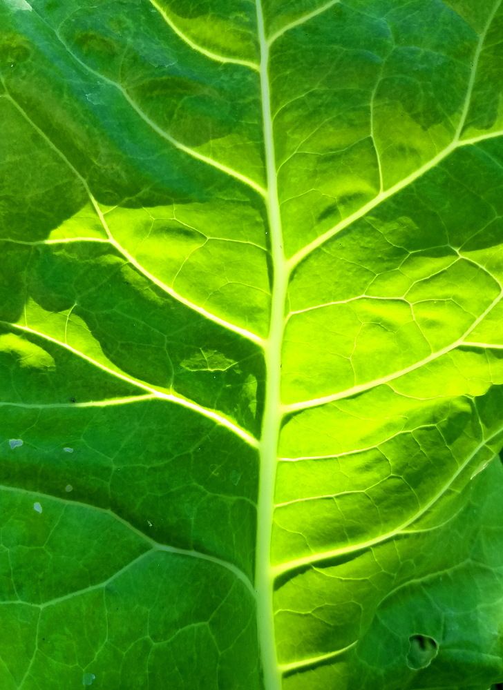 Фотография автора Aguiar Fernandes Kátia Maria