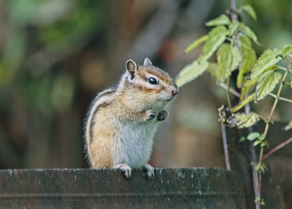 Photograph by Евгений Брусков
