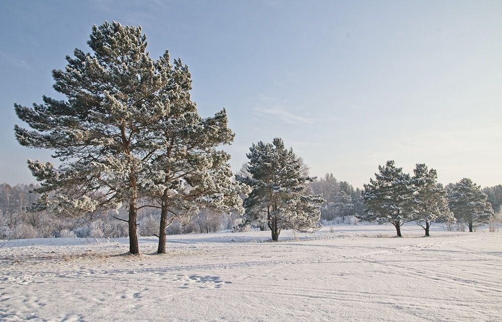 Photograph by Евгений Брусков