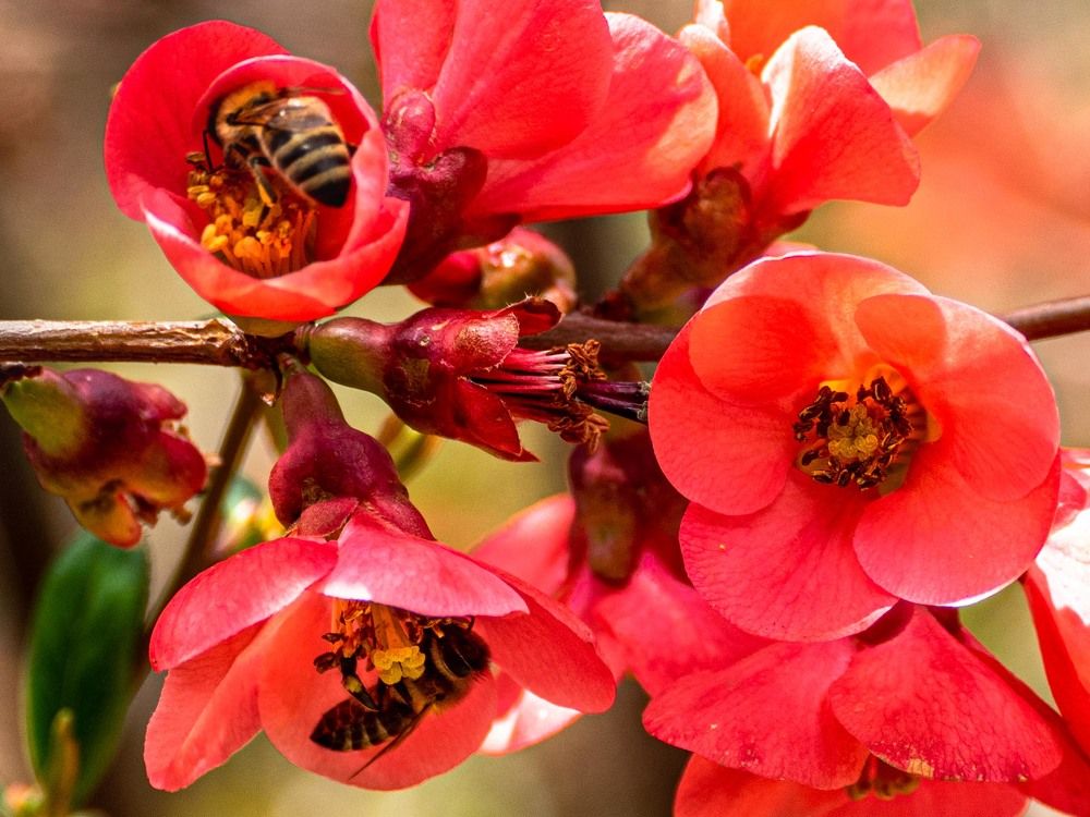 Photograph by mikhail goryachev