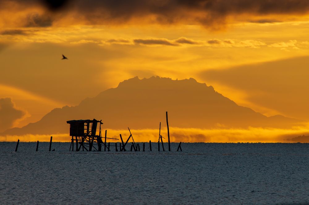 Photograph by Roslan Alias