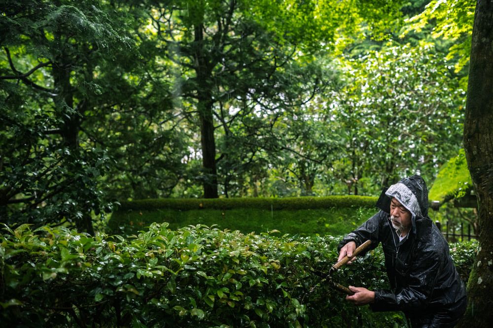 Фотография автора Наталья Барова