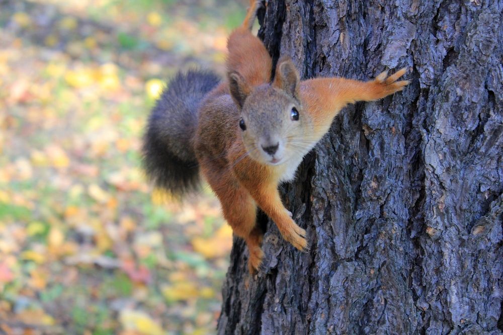 Photograph by Olga Bagaeva