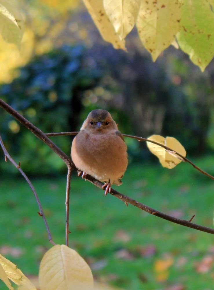 Photograph by Olga Bagaeva