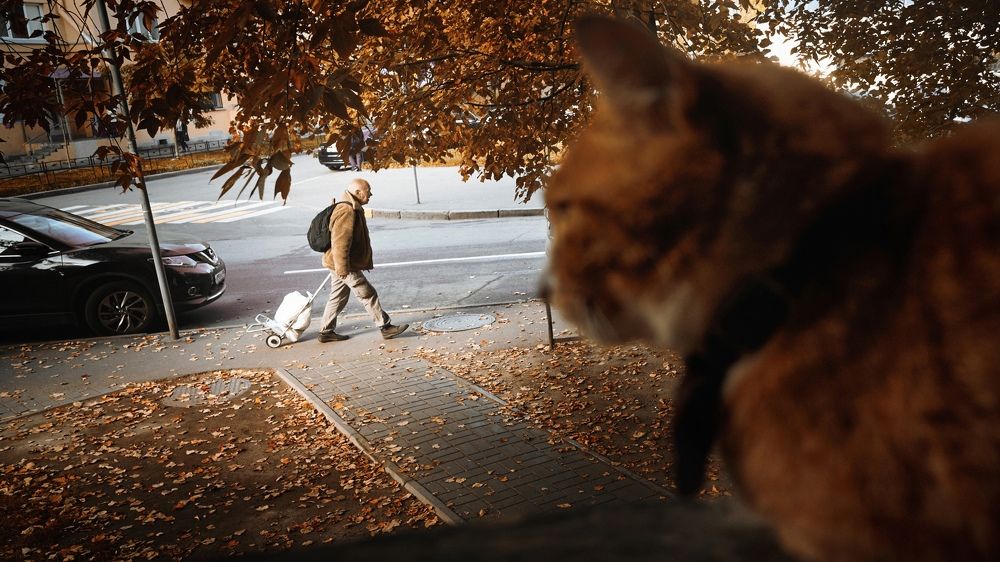 Photograph by Никита Егоров