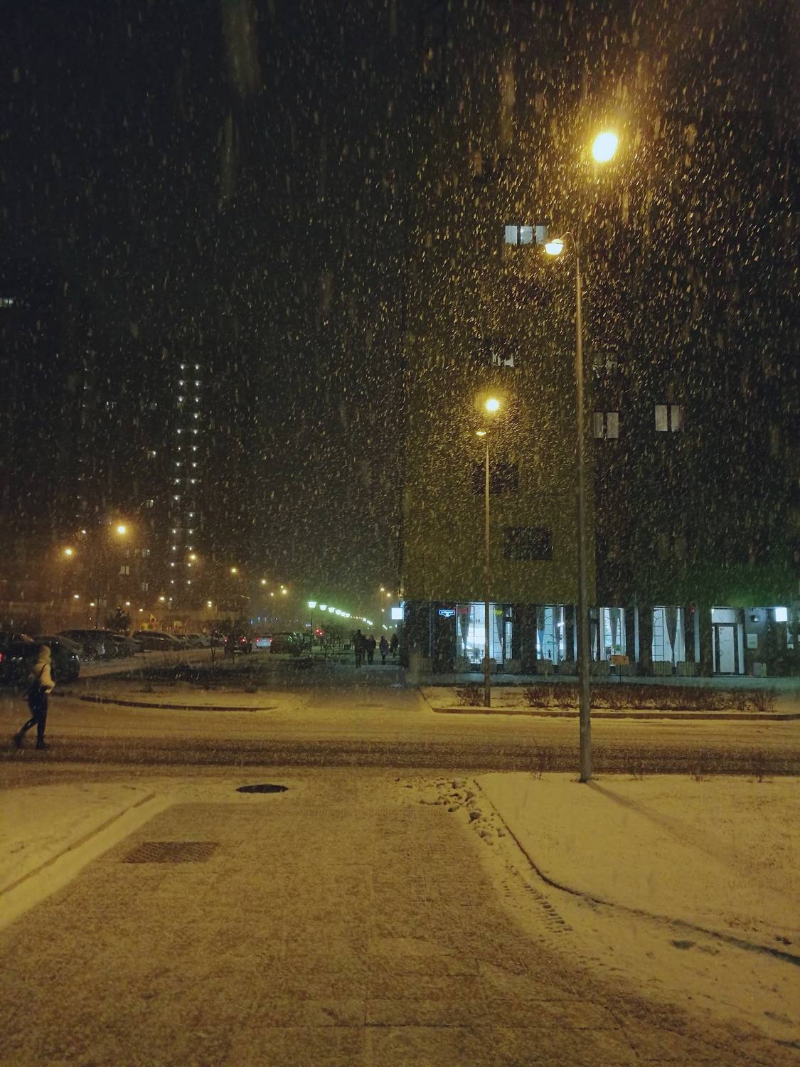 Photo #7340987