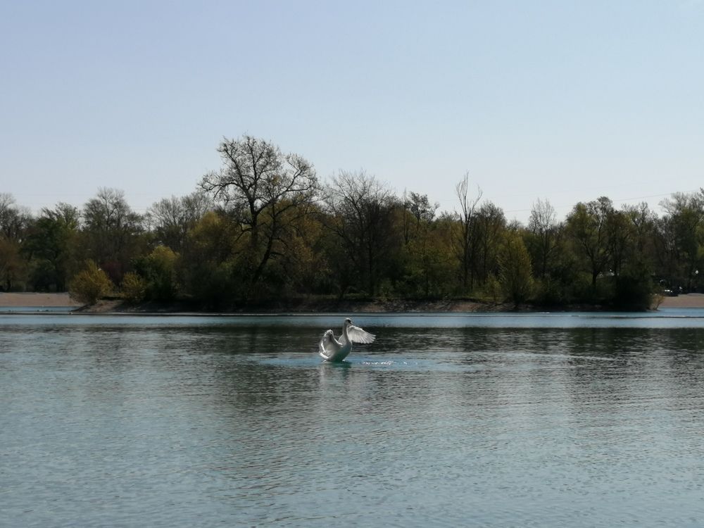 Фотография автора Mario Mihaldinec