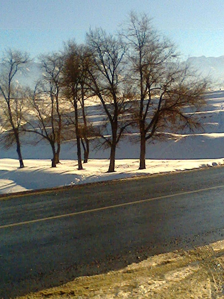 Photograph by Нигора Халилова