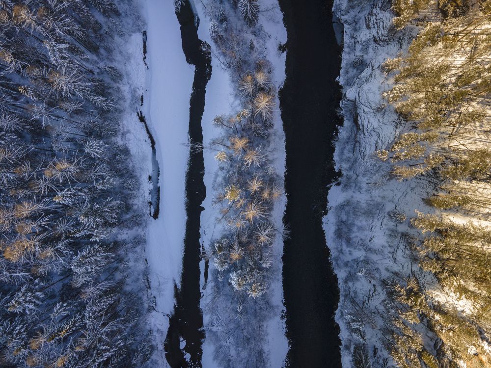 Photograph by Татьяна Борисова