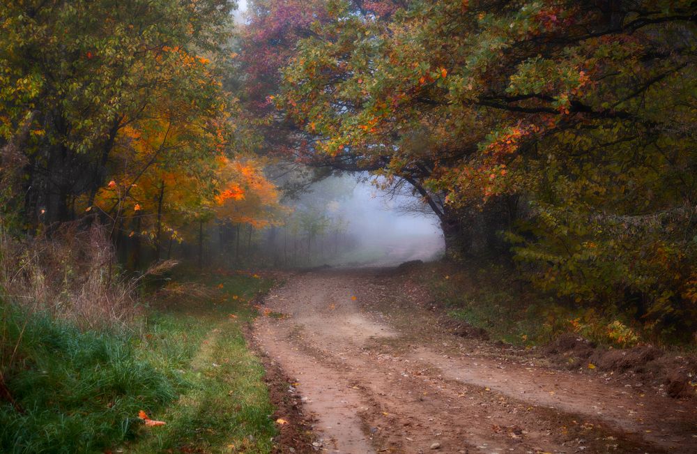 Сонная лощина