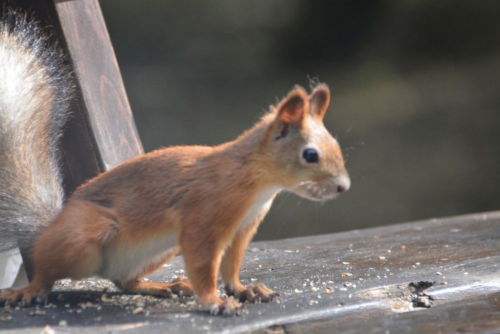 Photograph by Елена Поткина