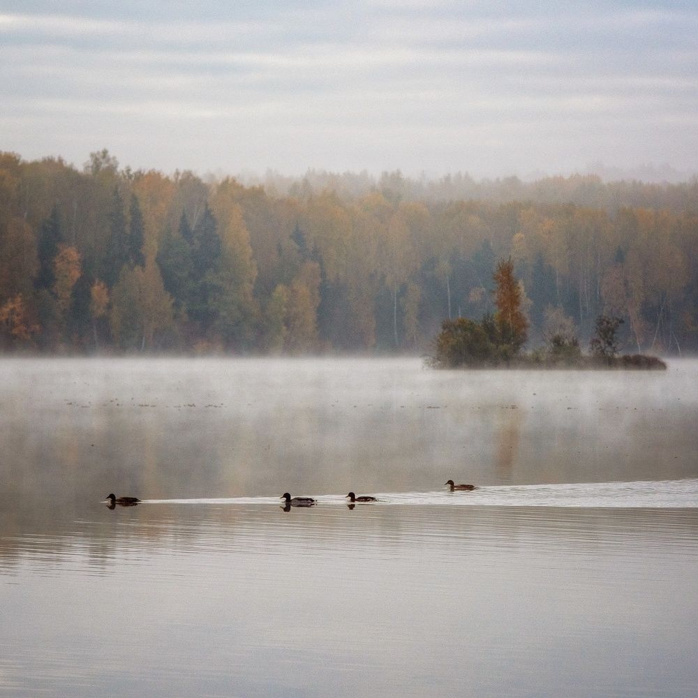 Photograph by Илья Шамин