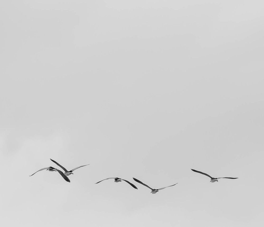 Photograph by Kaveh Nabizadeh